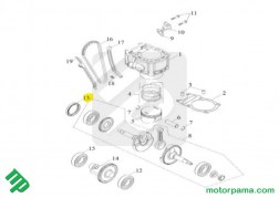 spaccato Anello di Tenuta  Paraolio Albero Motore Access MAX (1)